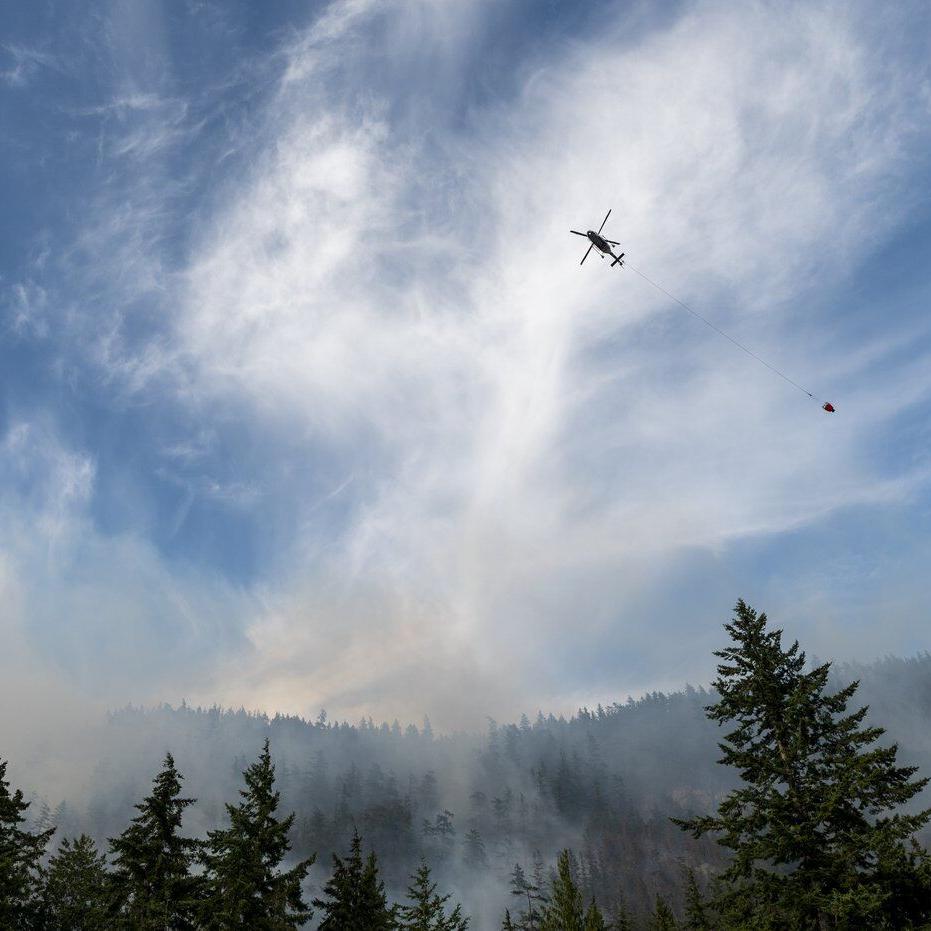 B.C. Forest Practices Board says forestry changes could reduce wildfire risk
